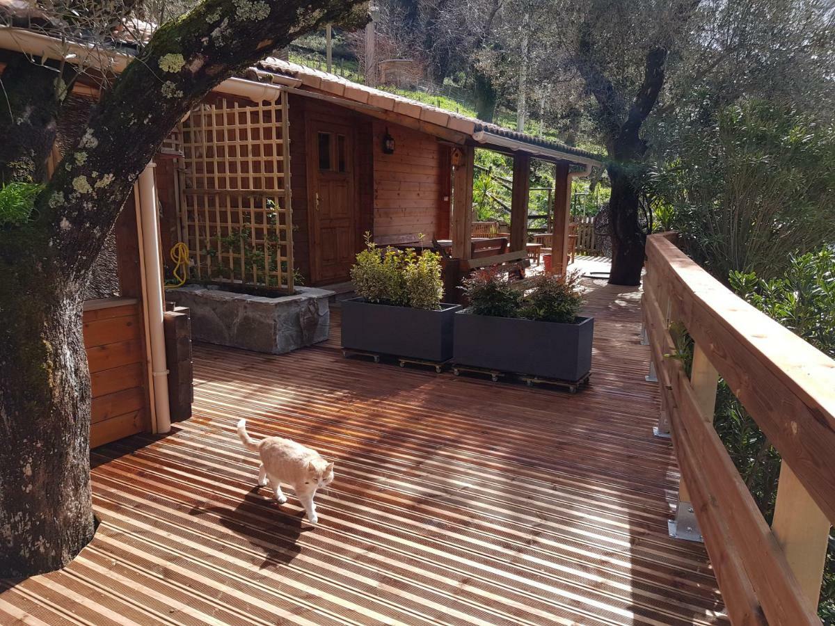 Le Chalet De Valentine & Laurent Olmiccia المظهر الخارجي الصورة